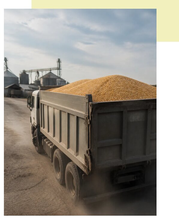Перевозка сельхозпродукции навалом в Мценск по цене от 3038 р. | Агросервис-Мцн